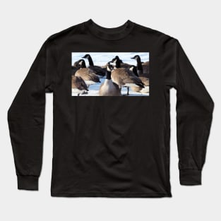 Canada Geese Standing In The Snow Long Sleeve T-Shirt